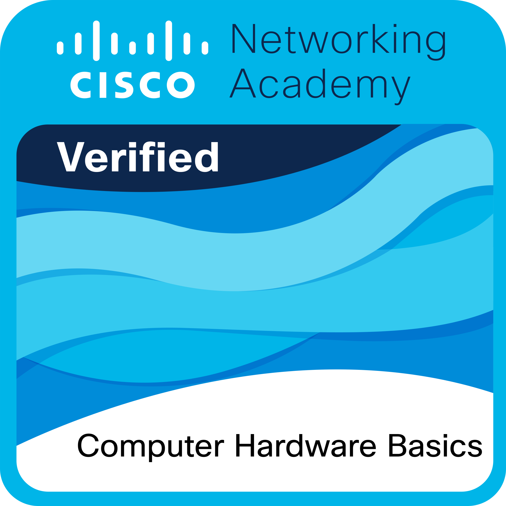 Cisco Networking Academy Badge