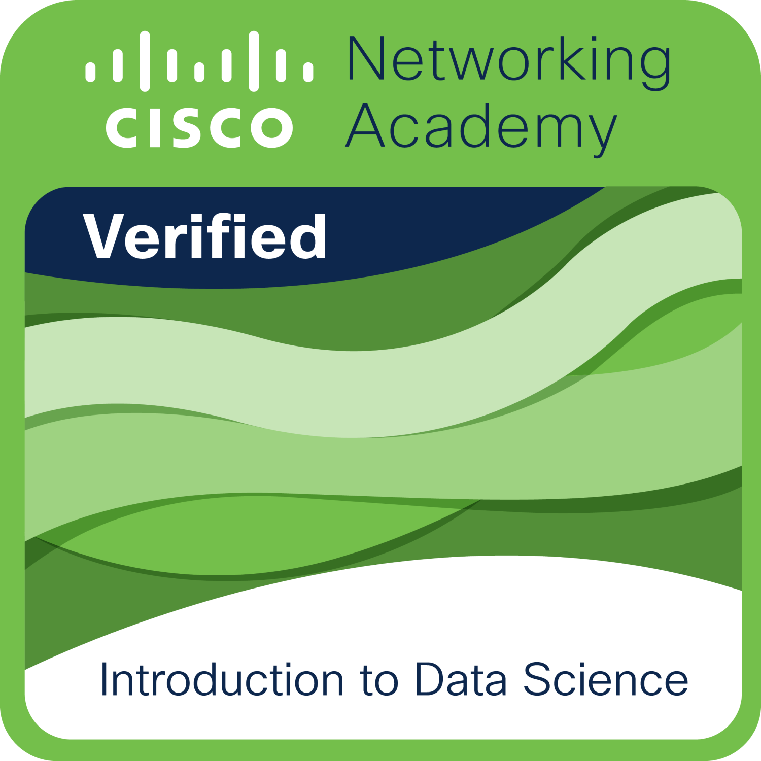 Cisco Networking Academy Badge